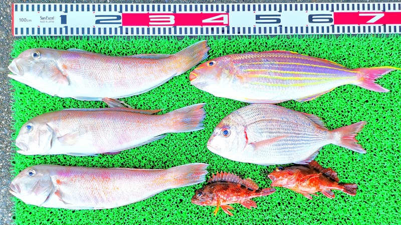 IMG_20220701_151410_edit_325973776383593