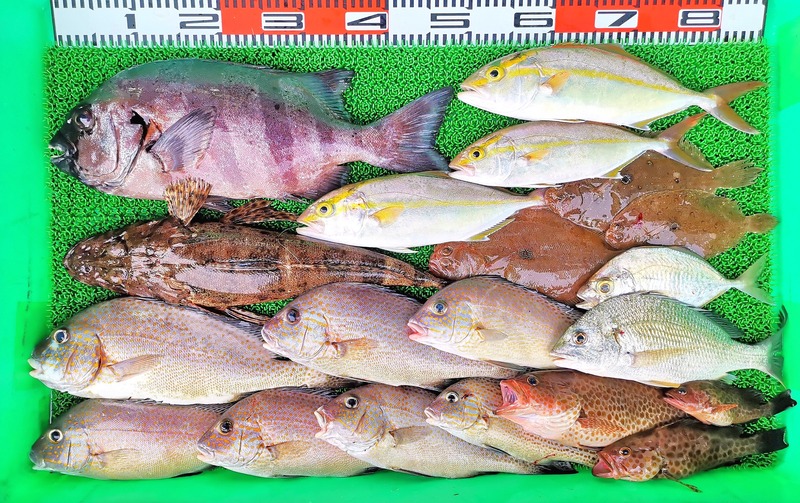 IMG_20191020_165801