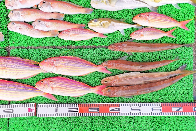 IMG_20241230_165437_edit_603532078774568