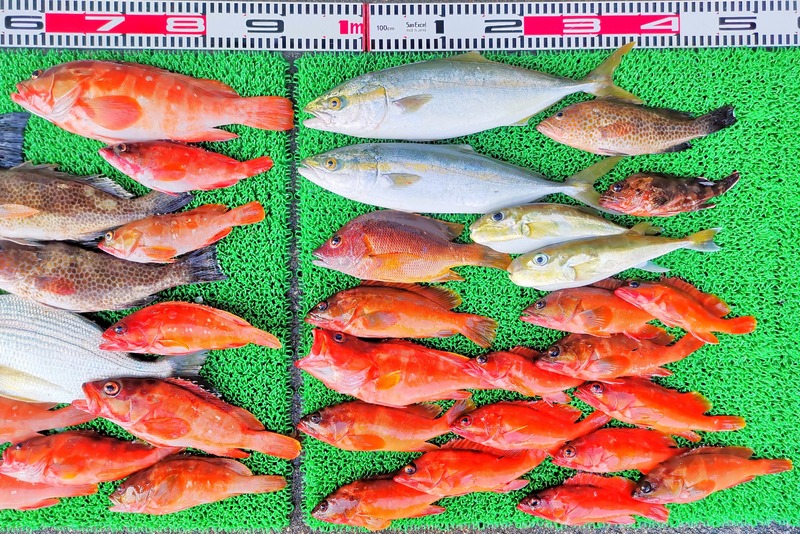 IMG_20251115_161918_edit_2482301349259243