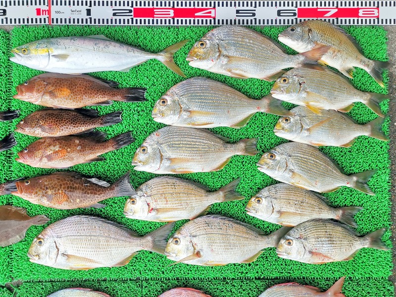 IMG_20251024_141639_edit_2014500117803541