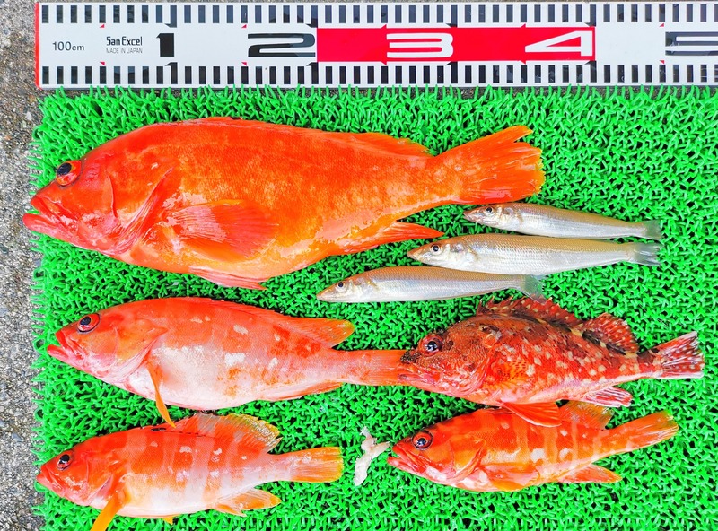 IMG_20220724_143105_edit_906839504179334