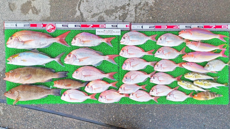 IMG_20251101_164343_edit_2198113027080211