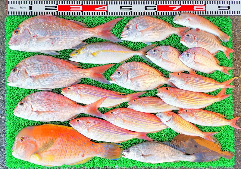 IMG_20241112_143911_edit_86692988174792