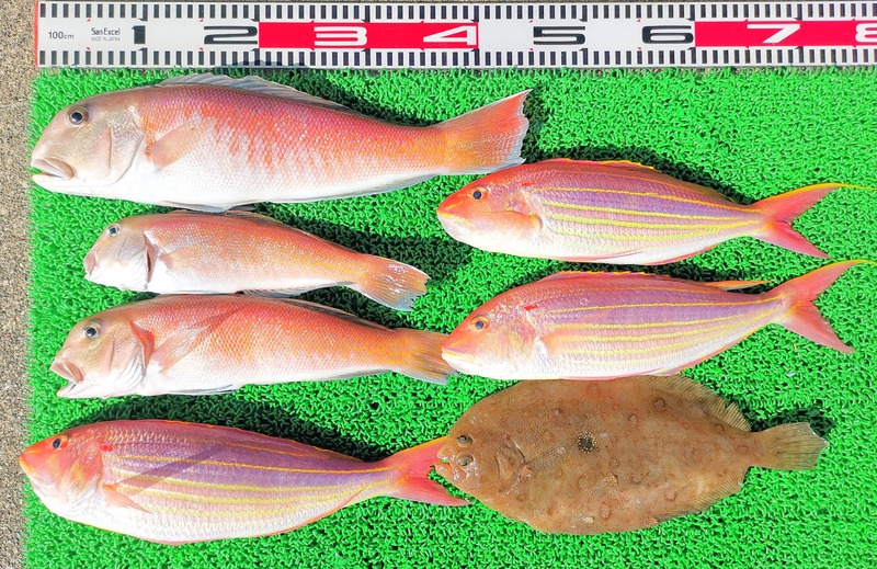 IMG_20250113_125327_edit_70428937844981