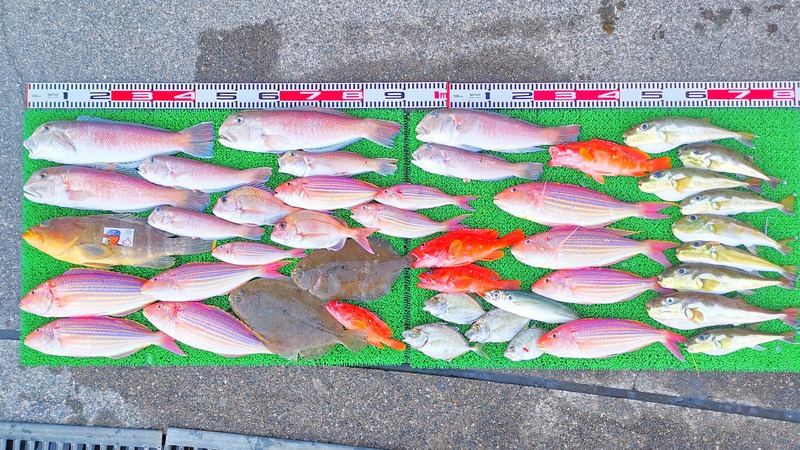 IMG_20241229_160735_edit_574605421687837