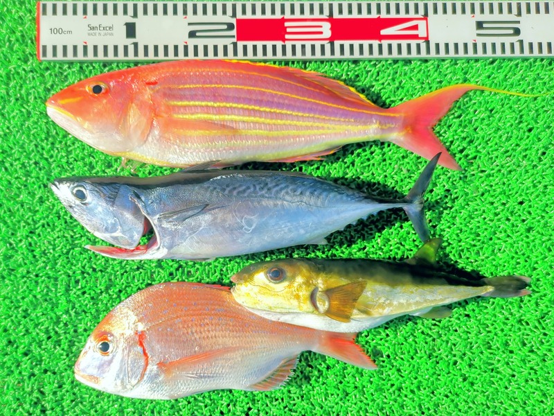 IMG_20211114_143555_edit_1059956348905970