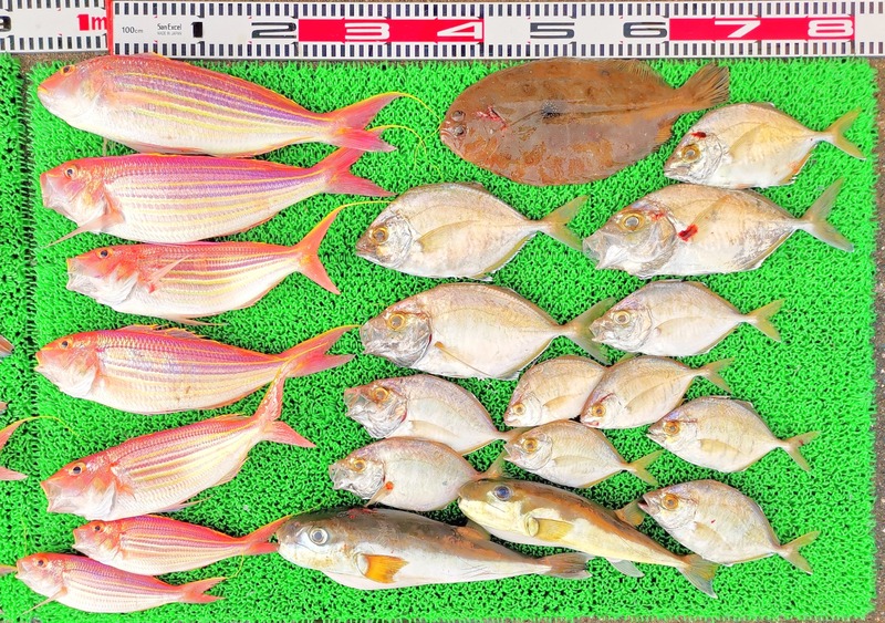 IMG_20241230_152709_edit_602427988661715