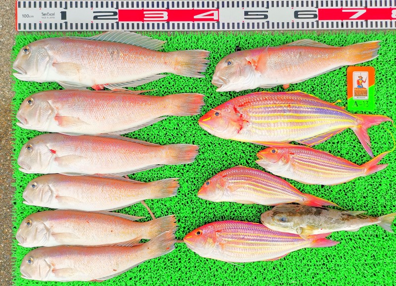 IMG_20220708_152853_edit_494048111818363