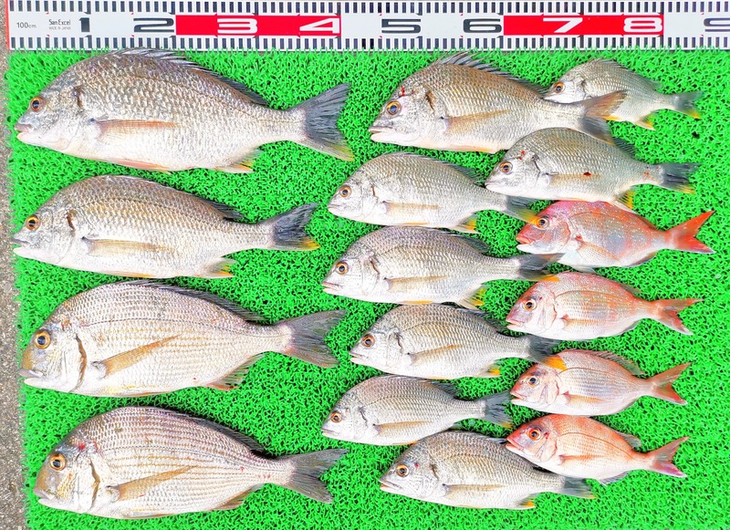 IMG_20220713_175941_edit_617738849968760