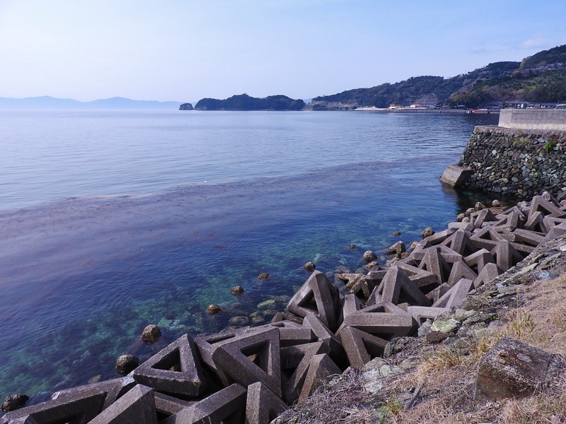 DSCN2111