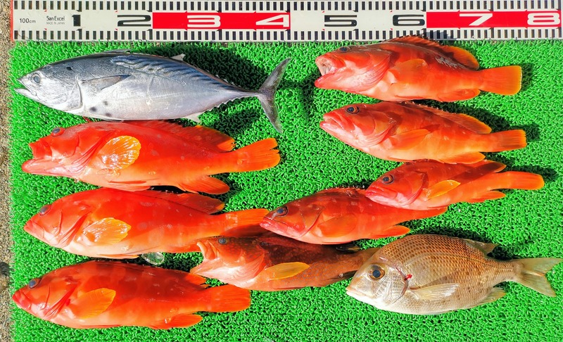 IMG_20241229_141508_edit_573848482748890