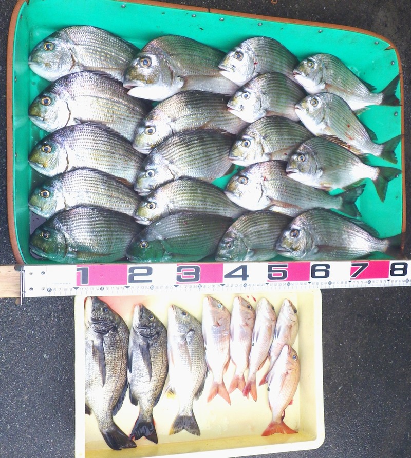 IMGP4089