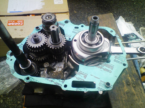 o1280096014558473500