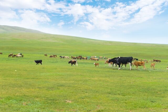 創作ちゃんねる 魔獣のスタンピードの本当の元ネタって何 レミングス アフリカの象の暴走 牛が集団で走り出す現象などなど 創作ちゃんねる