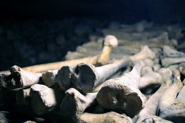 創作ちゃんねる 異世界設定での戦争の展開 議論あれこれ 創作ちゃんねる