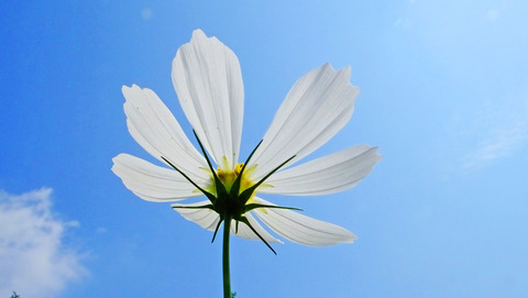 201310021123