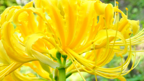 201310021128b