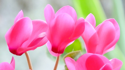 201403031338
