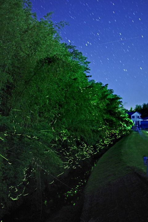 201705192041-42