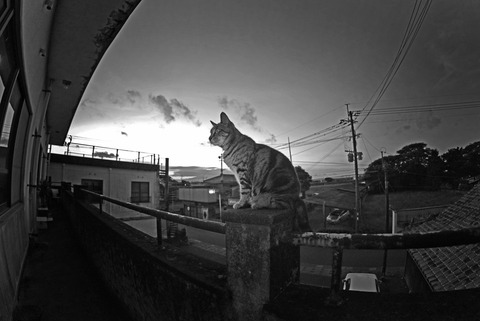 201607291935BW2