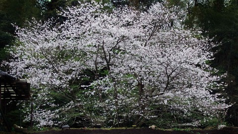 201603301611