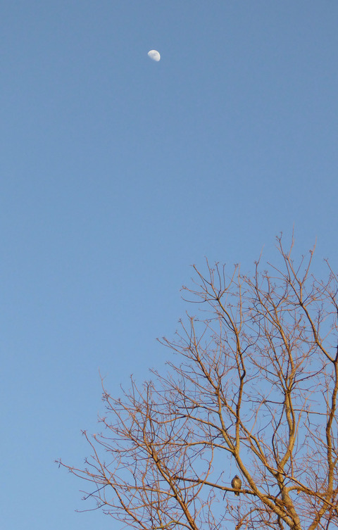 201602171726