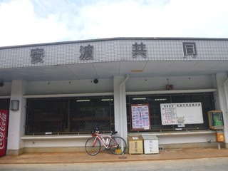 P1000859
