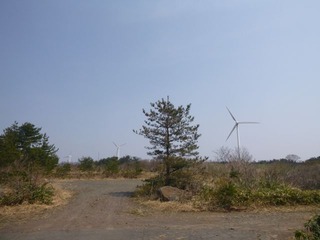 P1000984