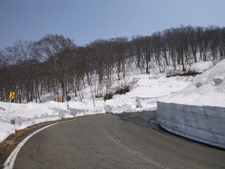 P1000957