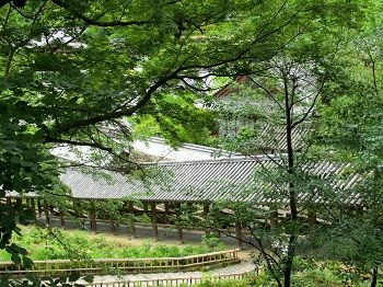 CIMG0097