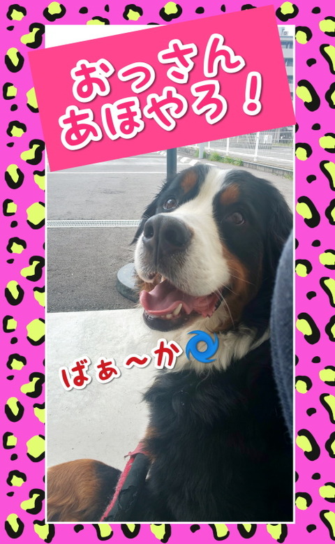 CollageMaker_20200518_151200521