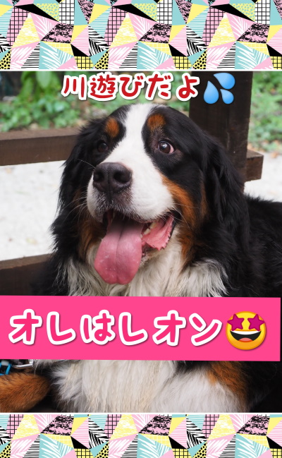 CollageMaker_20200826_082431852