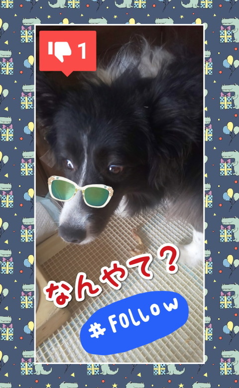 CollageMaker_20200518_150932832