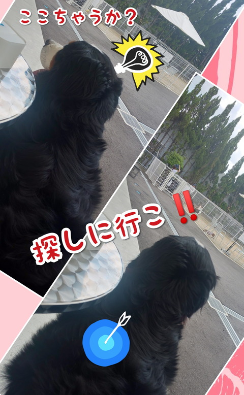 CollageMaker_20200518_150712751