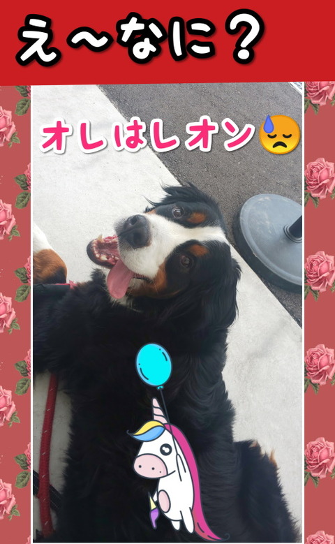 CollageMaker_20200518_145616561