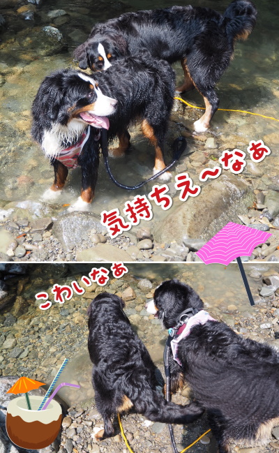 CollageMaker_20200826_083725601