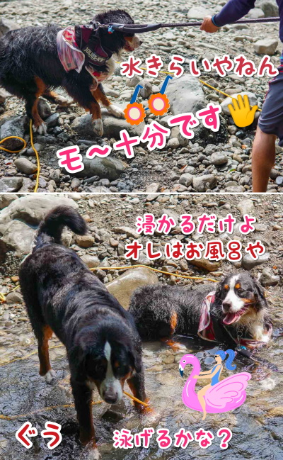 CollageMaker_20200826_084118305