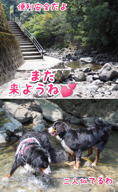 CollageMaker_20200826_090036321