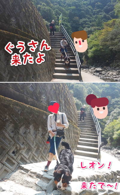 CollageMaker_20200826_083115856
