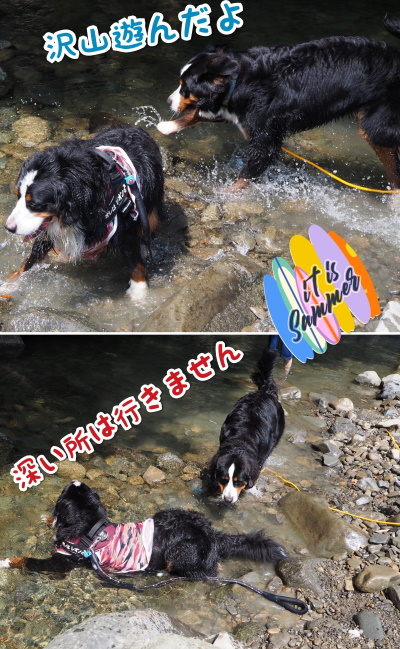 CollageMaker_20200826_084453763