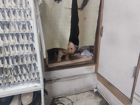 リペアショップ神戸魔法堂