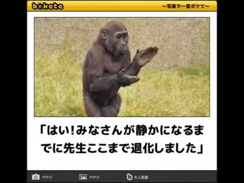 hqdefault