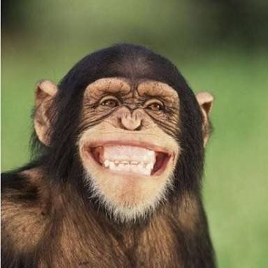 pLqK3BZ_