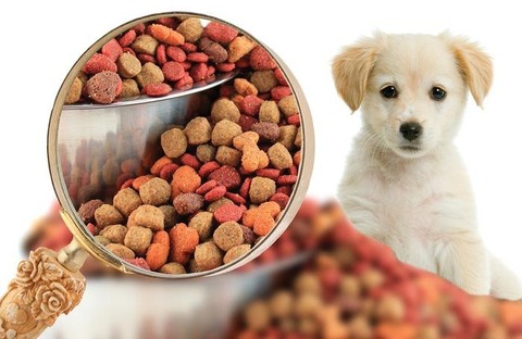 pet-food
