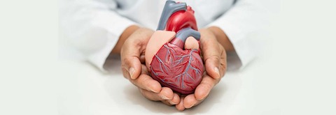 cardiology-thodupuzha-smita