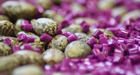 japan biopolyamide market