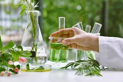 adobestock_284777737_web