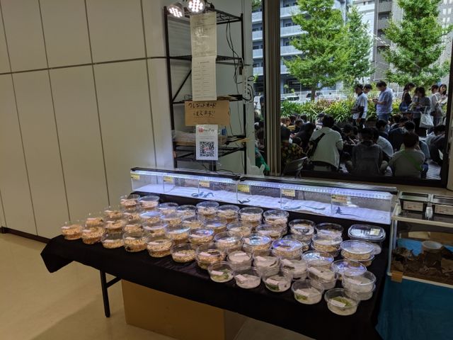 ありがとうございましたぶりくら市 Candleブログ