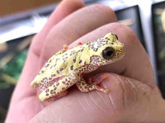 各ジャンルいろいろ入荷しています！ : CANDLEブログ